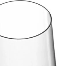 Leonardo Champagneglazen Puccini - 280 Ml - 6 Stuks -Le Creuset Winkel 069550 4 K 3000x