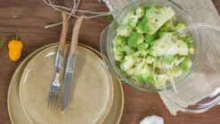 Sareva Ovenschaal Met Deksel- Hittebestendig Glas - ø 19.5 Cm / 1.5 Liter -Le Creuset Winkel 24082021 10