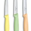 Victorinox Schilmessenset Trend - 3-Delig -Le Creuset Winkel 7613329141892
