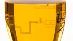 Brugse Zot Bierglas - 330 Ml -Le Creuset Winkel Merkbier gevuld 8