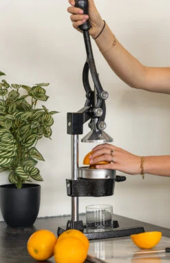 Sareva Citruspers - Gietijzer - Hevelmodel - Zwart 12 Sareva Citruspers - Gietijzer - Hevelmodel - Zwart -Le Creuset Winkel citruspers 3 1